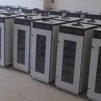 دستگاه جوجه کشی-پرنــدگان زیـنتیـtaq۰۰