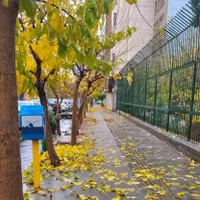 خوابگاه دخترانه گل رز بسیار امن و تمییز|اجارهٔ آپارتمان|تهران, دانشگاه تهران|دیوار