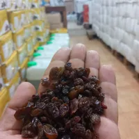 کشمش آفتابی|عمده‌فروشی|رشت, حمیدیان|دیوار