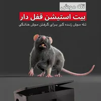 تله موش قفل دار طئمه موش خانگی و کارخانه سمپاشی