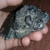 شهاب سنگ کربنی