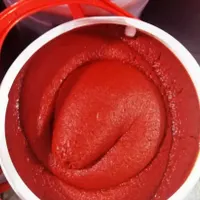 رب گوجه خانگی بدون مواد افزودنی|خوردنی و آشامیدنی|تهران, شکوفه|دیوار