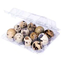 پک های دکمه ای جهت بستبندی تخم بلدرچین