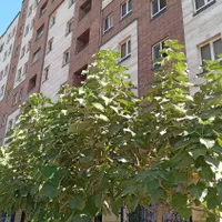 فروش آپارتمان سه خوابه بلوار احسان حکیمیه|فروش آپارتمان|تهران, خاک سفید|دیوار