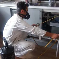سمپاشی ساختمان سوسک ساس موش مورچه