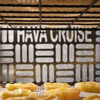 دستگاه خشک کن میوه سبزی گیاهان دارویی 48s