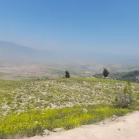 فروش زمین زراعی وباغی در کیاآباد