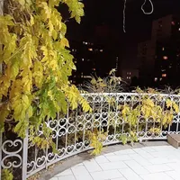 ۱۷۰متر/ ویلایی/ شهرک غرب|اجارهٔ خانه و ویلا|تهران, سپهر|دیوار