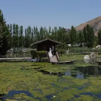 آتلیه تخصصی یادا  پرداخت ۳ مرحله|خدمات پذیرایی، مراسم|تهران, شاهین|دیوار