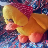 جوجه اردک