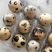 پک دکمه دار برای بسته بندی تخم بلدرچین