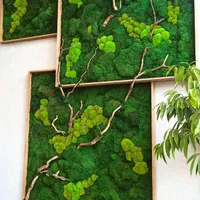 دیوار خزه ای دیوار سبز گرین وال ماس وال خزه تثبیت