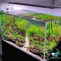 اکواریوم پلنت اقساطی