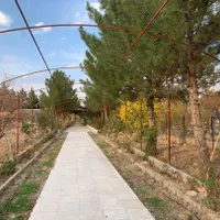 اجاره باغ جهت گلخانه