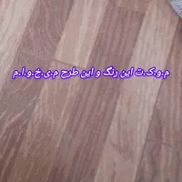 موکت