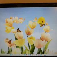 خدمات نرم افزاری درمحل