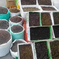 کشمش افتابی سایه خشک مویزه شیراز شیره خرما