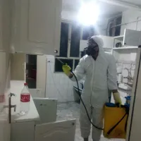 سمپاشی تضمینی سوسک انواع حشرات سم پاشی سراسرتهران