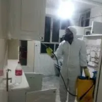 سمپاشی کلیه حشرات سوسک ساس کنه زنبور موش سم پاشی