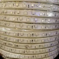 ریسه شلنگی مولتی/هفت رنگ/RGB.گارانتی.برق رویال|ریسه و چراغ تزئینی|اصفهان, شیخ اشراق|دیوار