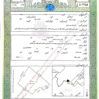 فروش زمین مسکونی-باغی به متراژ۲۲۳۰متر درشمال|فروش زمین و ملک کلنگی|تهران, تهران‌نو|دیوار