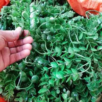 گل مصنوعی برگ شمشاد گرین وال سبز چمن مصنوعی