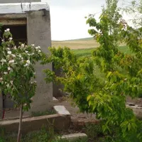 باغ میوه بیجار کردستان|فروش زمین و ملک کلنگی|تهران, آبشار|دیوار