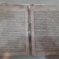 کتاب و پول|کلکسیون اشیاء عتیقه|پرند, |دیوار