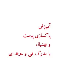 آموزش فیشیال و پاکسازی پوست|خدمات آموزشی|نظرآباد, |دیوار