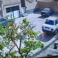 دوربین مداربسته پلاک خوان سونی پلاک خوان میکروفونی|دوربین مداربسته|شیراز, عادل آباد|دیوار