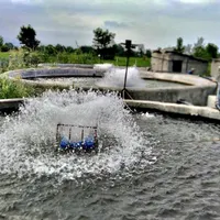 استخر پرورش ماهی دارای سند تک برگ و مجوز