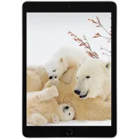 تبلت اپل ipad مدل iPad (9th) 10.2 Wi-Fi  64 گیگ|تبلت|اصفهان, آبشار|دیوار