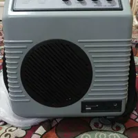 اکو باند به همراه میکروفون و فلش خور