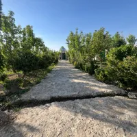 باغچه ۵۰۰متری/زرنان پایین/با درختان مثمر وباصفا|فروش زمین و ملک کلنگی|تهران, سعیدآباد|دیوار