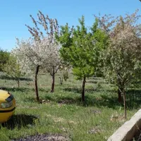 باغ میوه بیجار کردستان|فروش زمین و ملک کلنگی|تهران, آبشار|دیوار