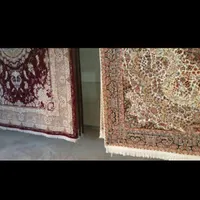 قالیشویی مروارید|خدمات نظافت|گنبد کاووس, |دیوار