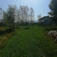 8000 متر زمین با مجوز ساخت در منطقه ای بکر آرام|فروش زمین و ملک کلنگی|رشت, قاسمیه|دیوار