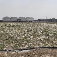 11هزار متر گلخانه/سند 6دانگ/فول امکانات/آب باریک|فروش دفتر صنعتی، کشاورزی، تجاری|جوادآباد, |دیوار