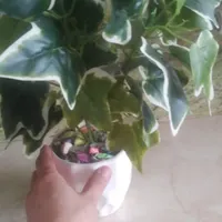 گل مصنوعی زیبا