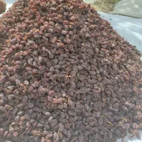 مویز پاک شده درجه 1|خوردنی و آشامیدنی|شیراز, دباغ خانه|دیوار
