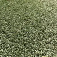 اجاره چمن مصنوعی