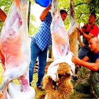 30٪ آف ویژه عیدقُربان/گوسفند زنده بضمانت نصفه گوشت