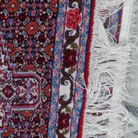 خیلی فوریی|فرش|سنندج, |دیوار