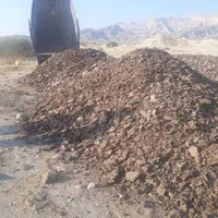 کودگاوی و مرغ|خدمات باغبانی و درختکاری|بندر دیر, |دیوار