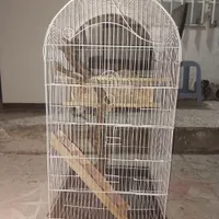 قفس بزرگ ۱ متری
