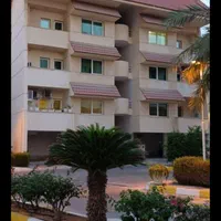 نقاشی رنگ آمیزی داخلی ونما ساختمان با دستگاه ایرلس