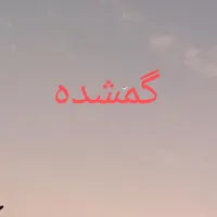 گمشده کیف دستی و کیف پول با مدارک