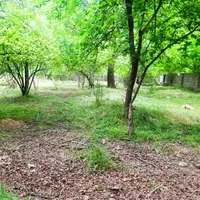 فروش خانه ویلایی 1500متری در منصورآباد