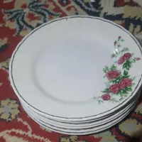 ظروف چینی سالم برای خونه باغ|ظروف سرو و پذیرایی|خرمدره, |دیوار
