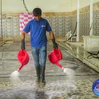 قالیشویی و مبلشویی سنتی شور(همیشه تمیز)